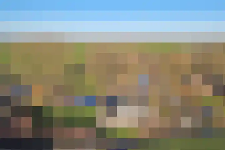 Westeinde 55 Waarder thumbnail 72