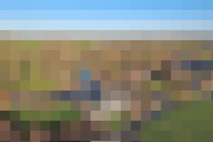 Westeinde 55 Waarder thumbnail 73