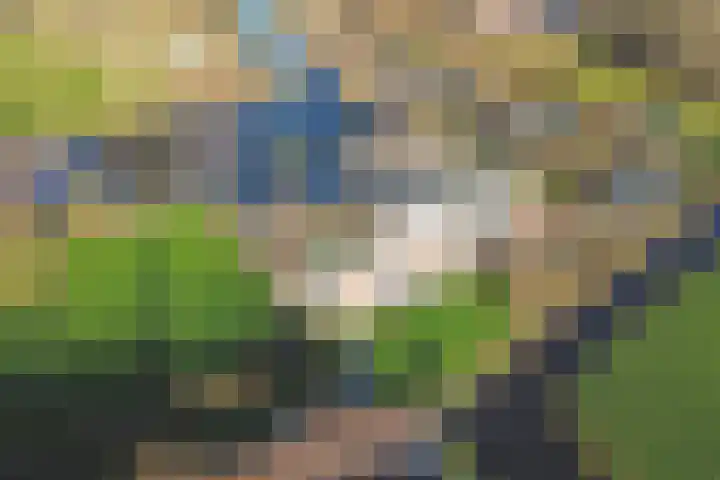 Westeinde 55 Waarder thumbnail 74