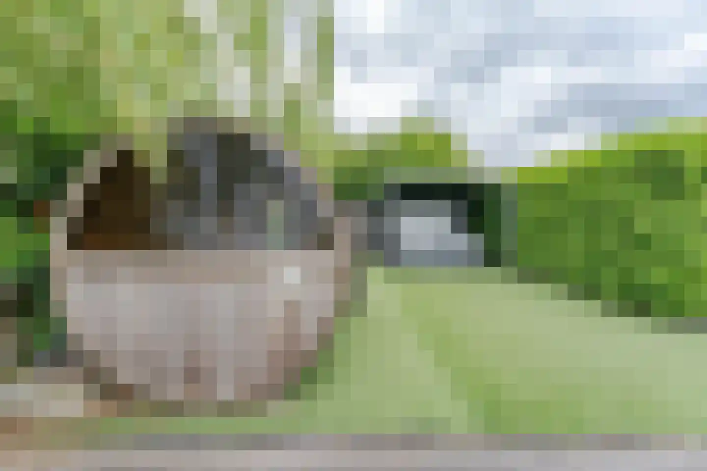 Westeinde 56 Hazerswoude-Dorp thumbnail 40