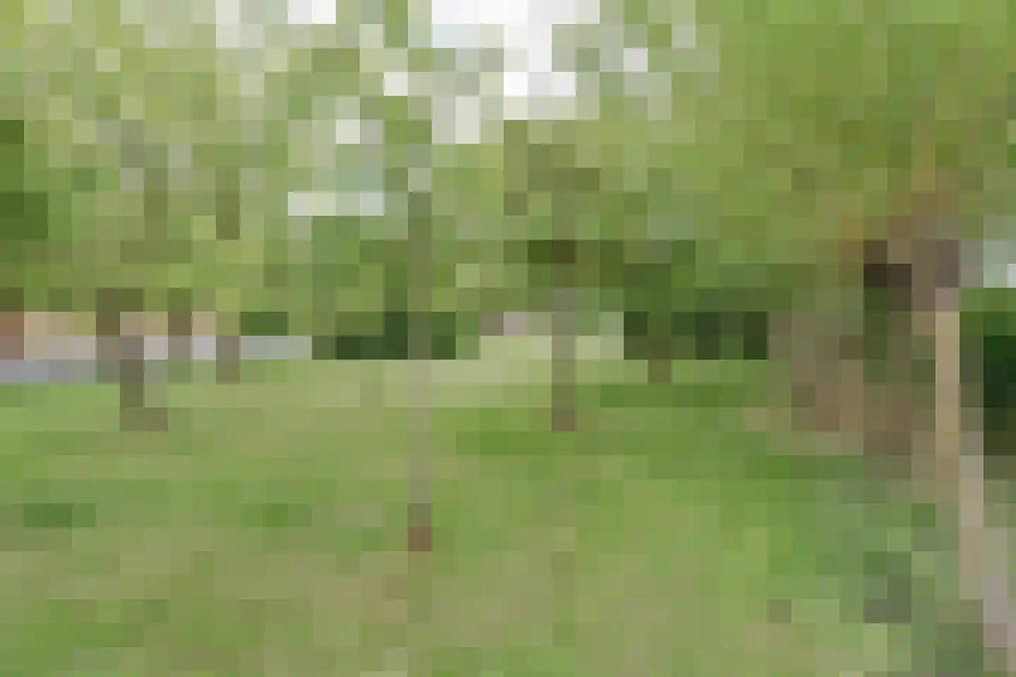 Westeinde 56 Hazerswoude-Dorp thumbnail 42