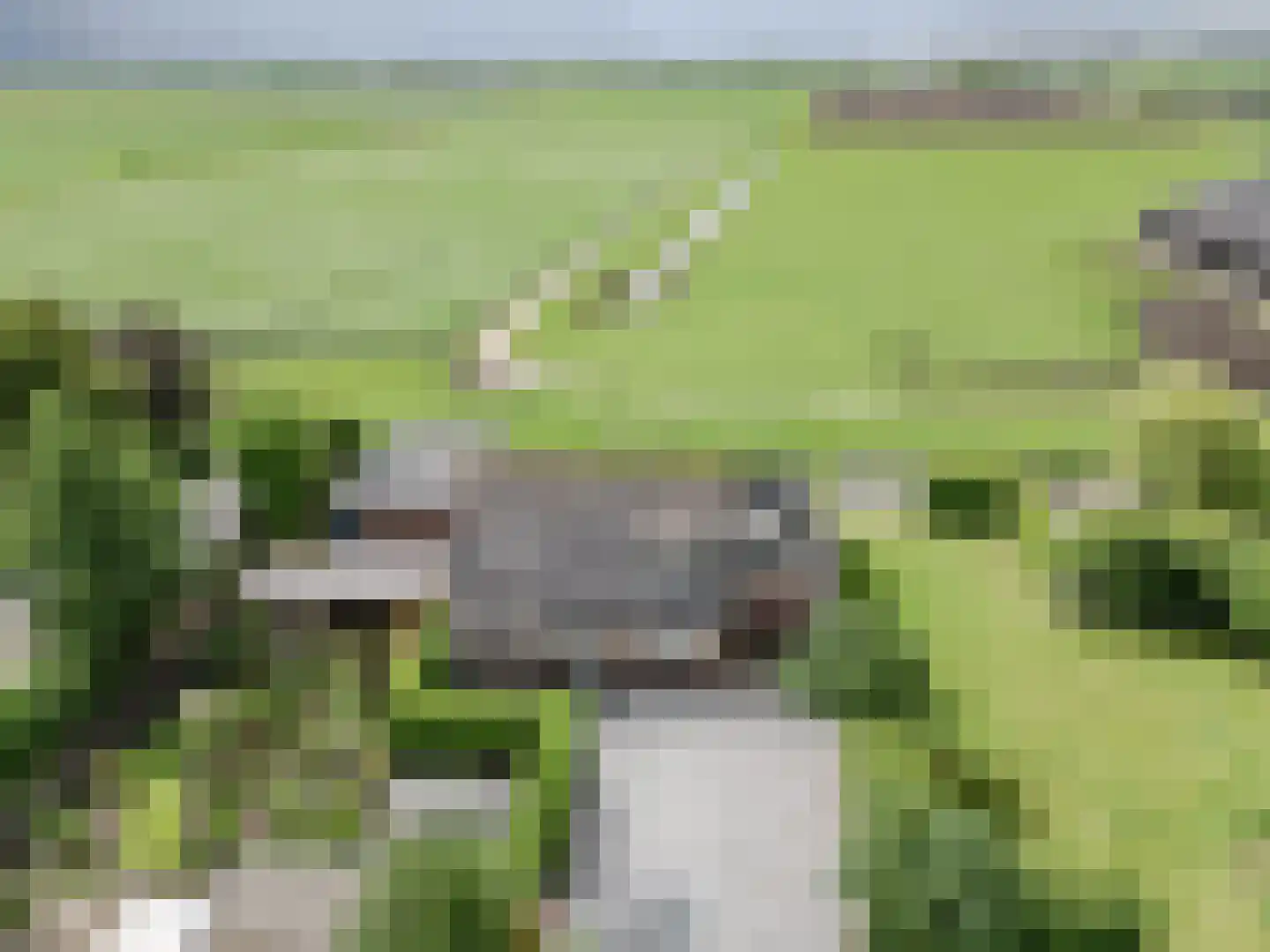 Westeinde 56 Hazerswoude-Dorp thumbnail 43