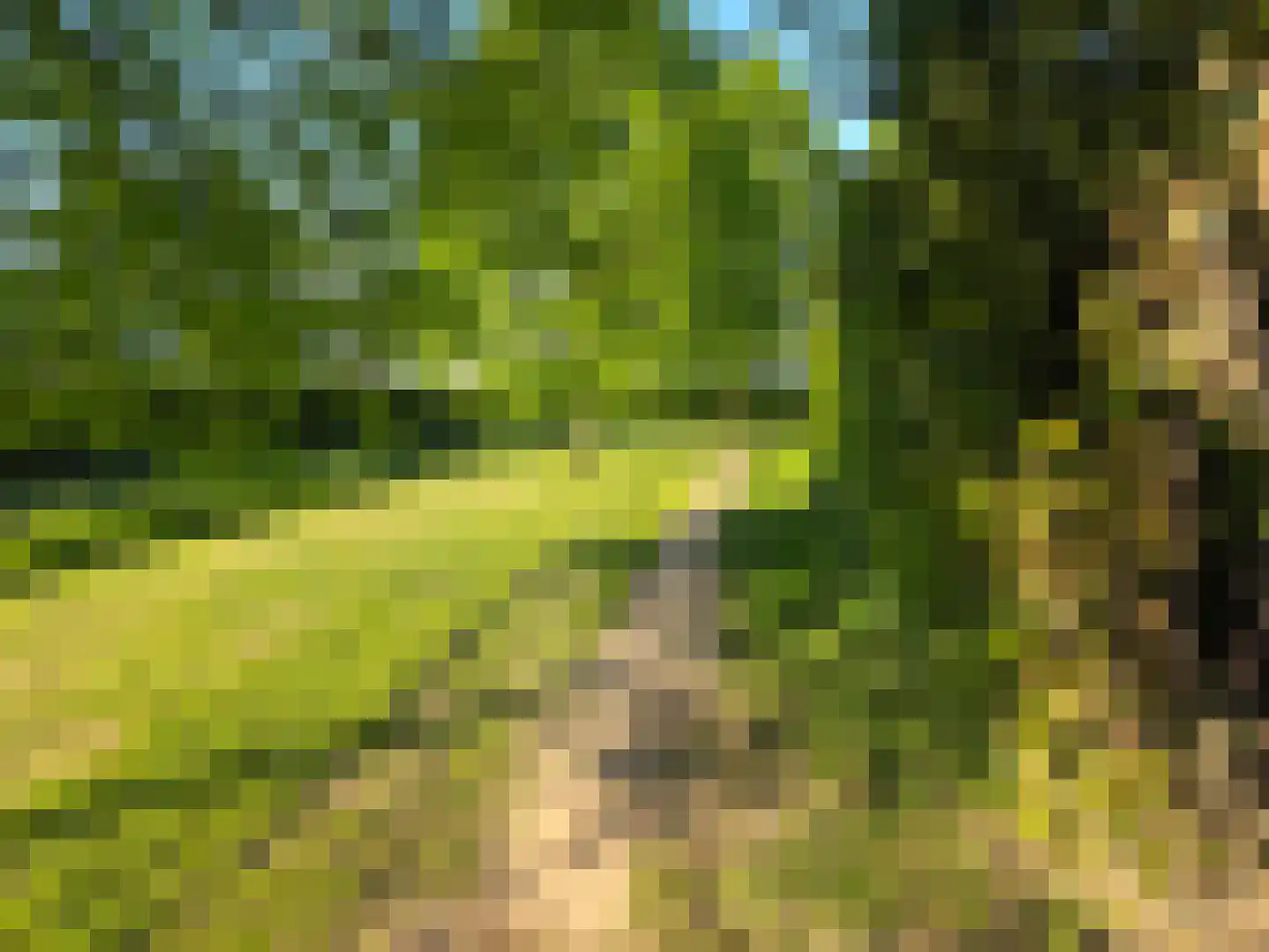 Westeinde 57 a Waalwijk thumbnail 26