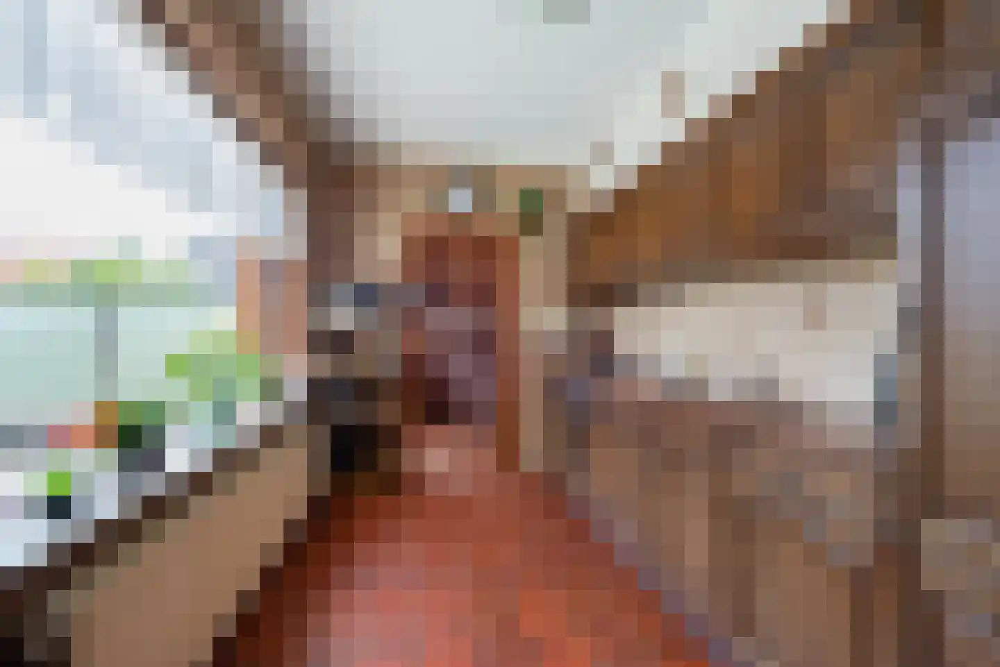 Westeinde 59 Roelofarendsveen thumbnail 13