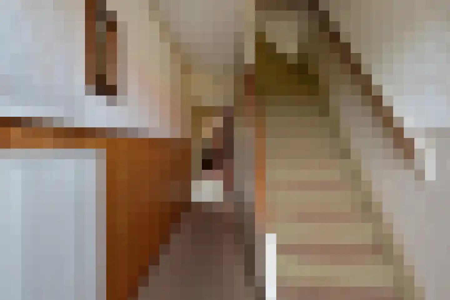Westeinde 59 Roelofarendsveen thumbnail 6