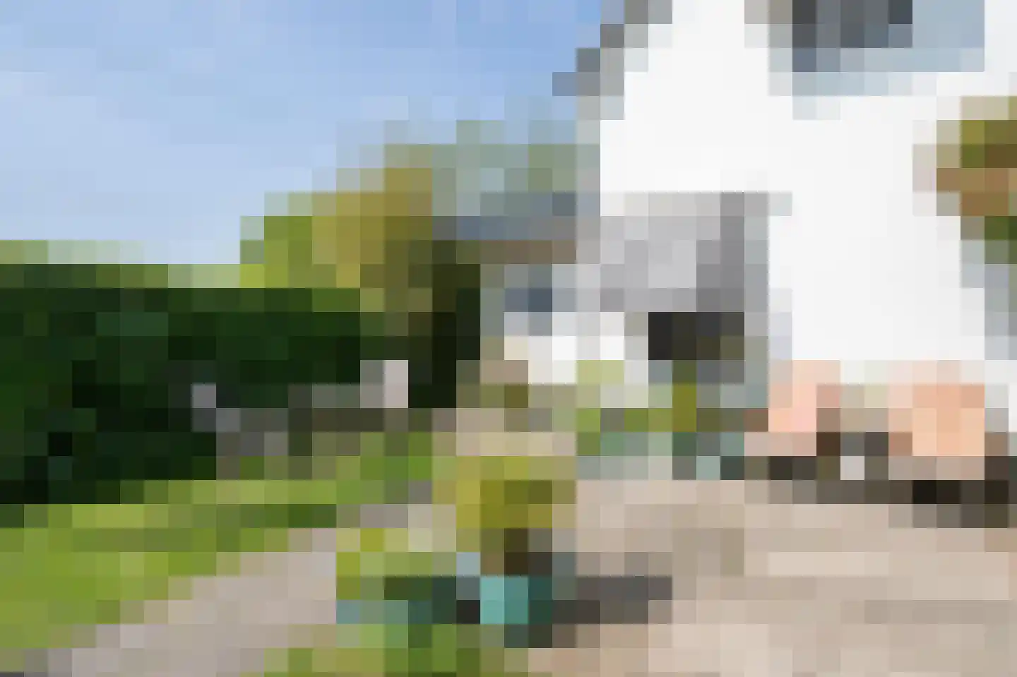 Westeinde 6 Oud-Alblas thumbnail 12