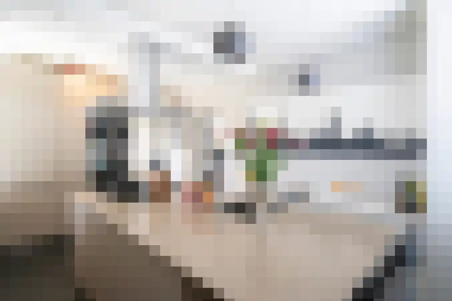 Westeinde 6 Oud-Alblas thumbnail 18