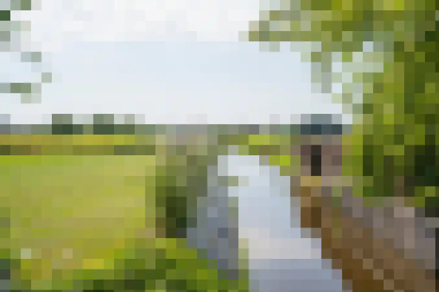 Westeinde 6 Oud-Alblas thumbnail 36