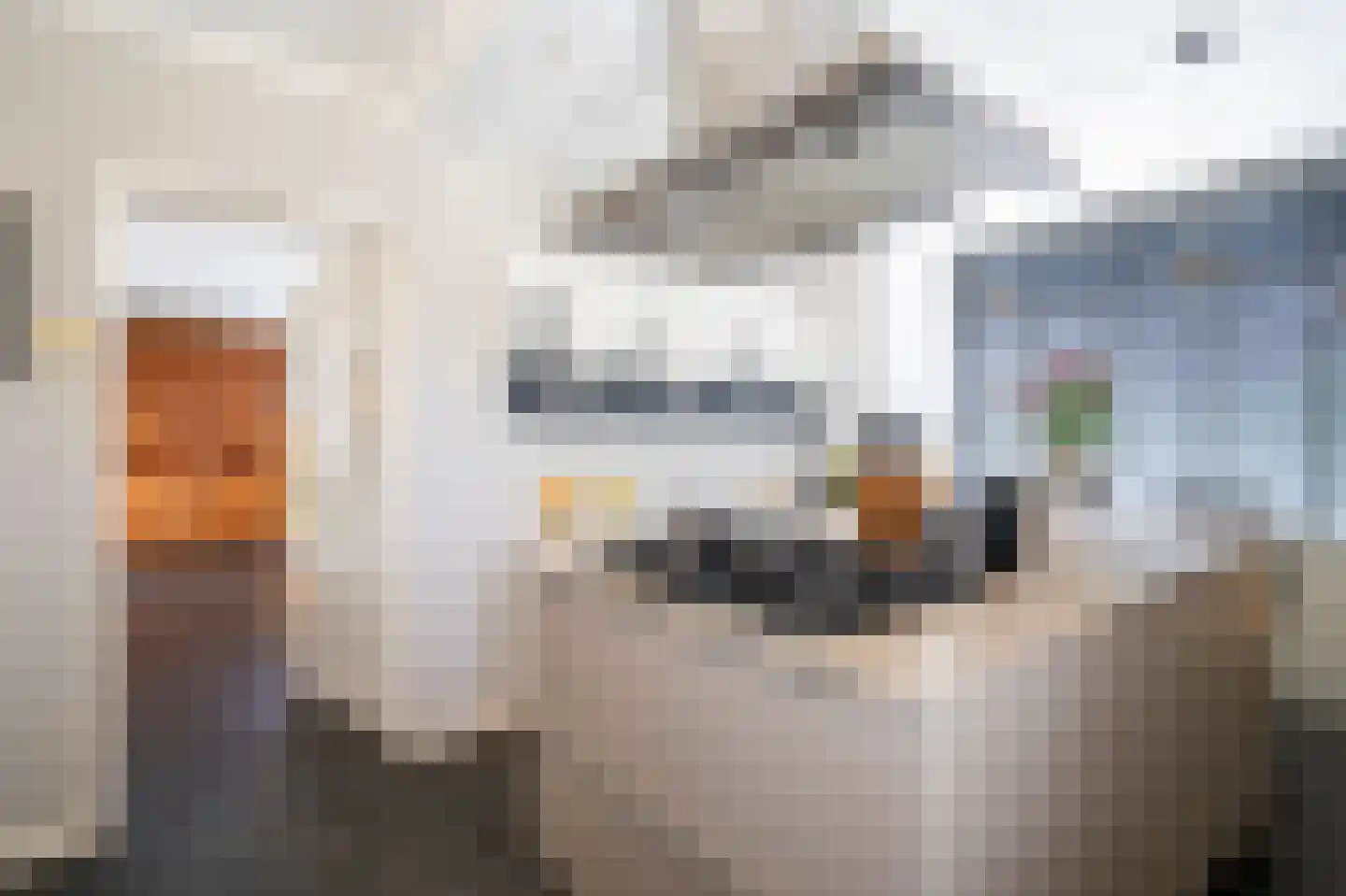 Westeinde 6 Oud-Alblas thumbnail 5