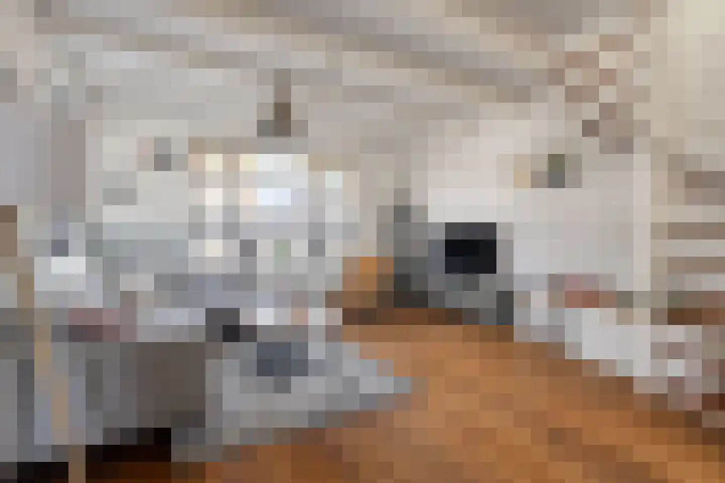 Westeinde 6 Schermerhorn thumbnail 12