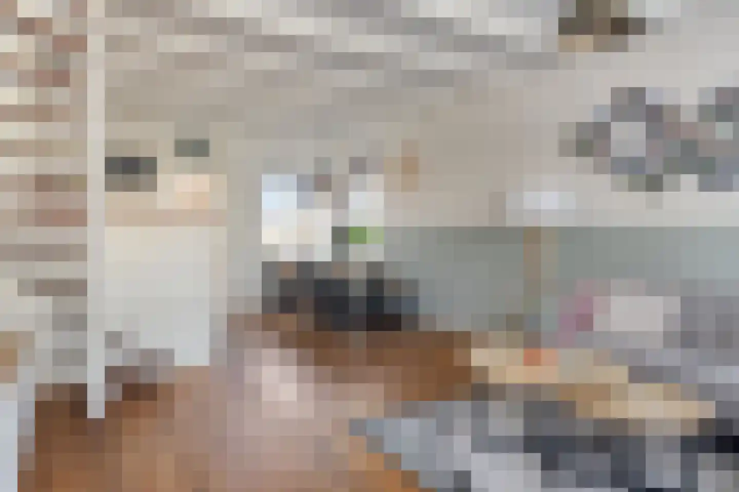 Westeinde 6 Schermerhorn thumbnail 15