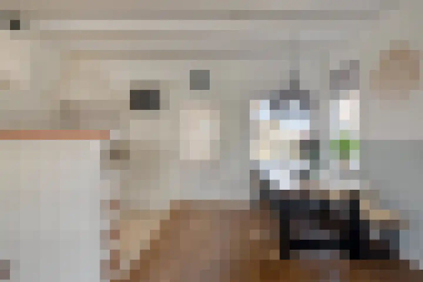 Westeinde 6 Schermerhorn thumbnail 16