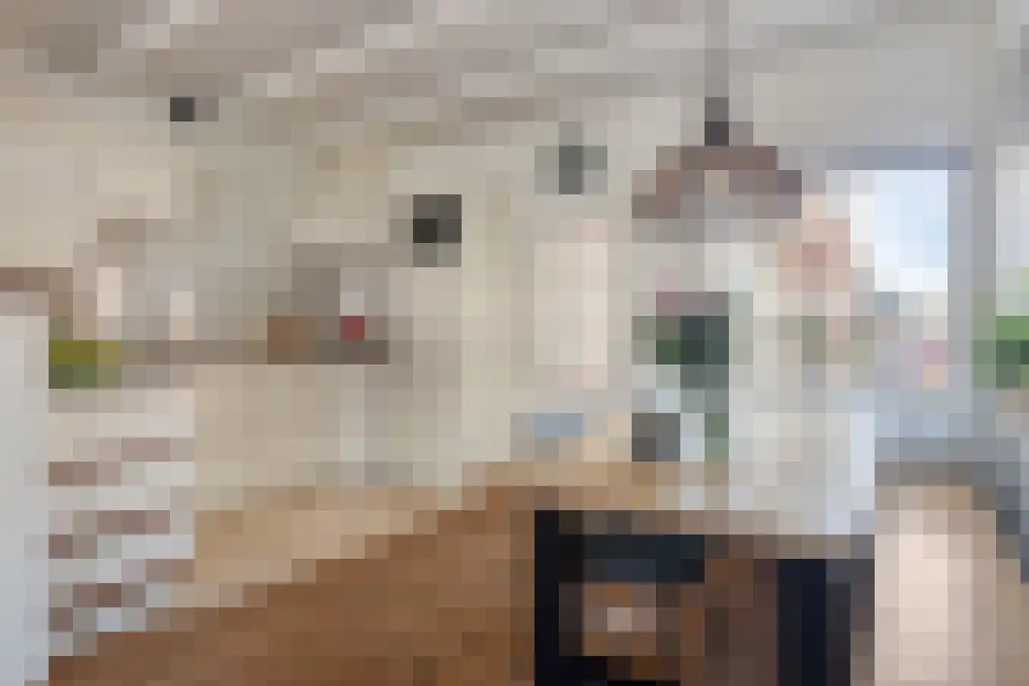 Westeinde 6 Schermerhorn thumbnail 17