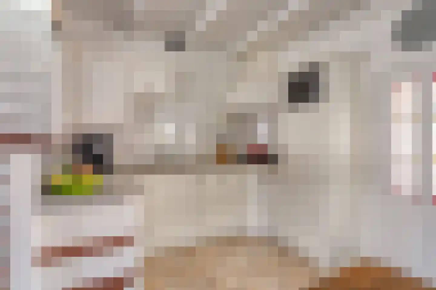 Westeinde 6 Schermerhorn thumbnail 18