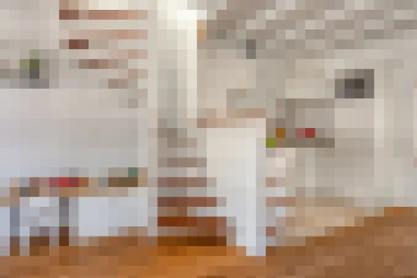 Westeinde 6 Schermerhorn thumbnail 21