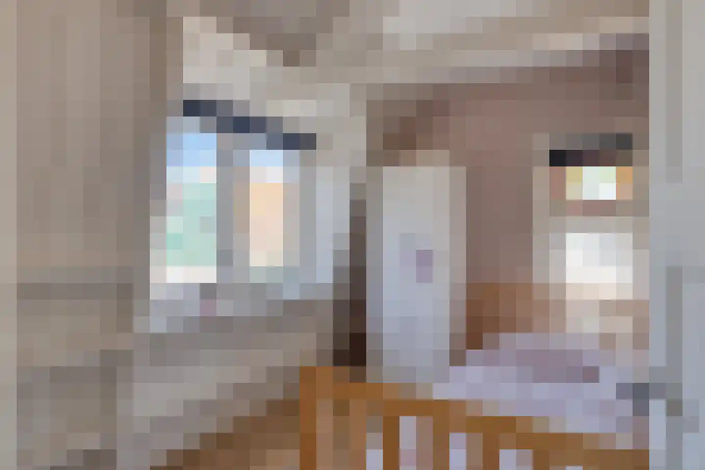 Westeinde 6 Schermerhorn thumbnail 32