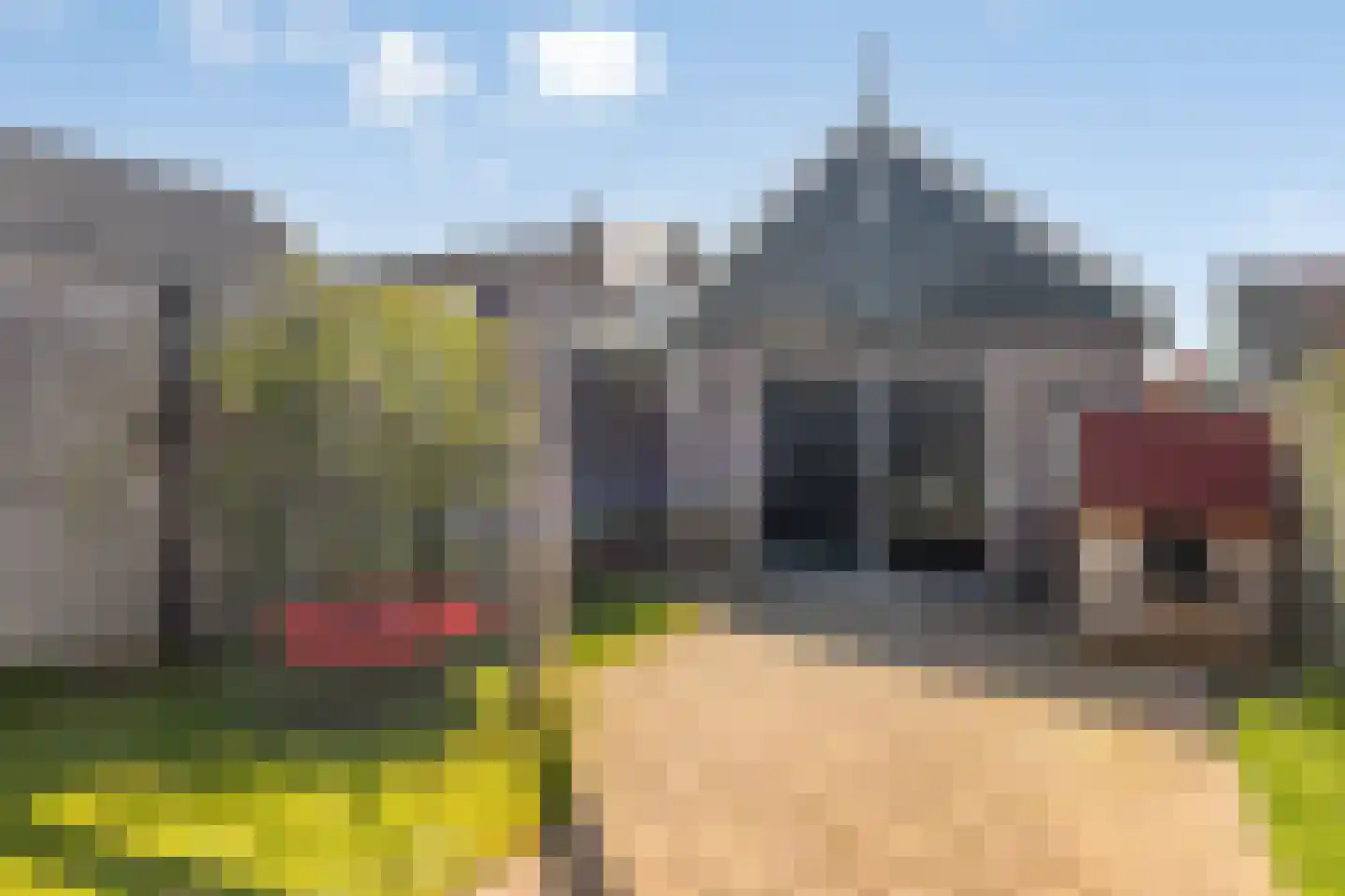 Westeinde 6 Schermerhorn thumbnail 37