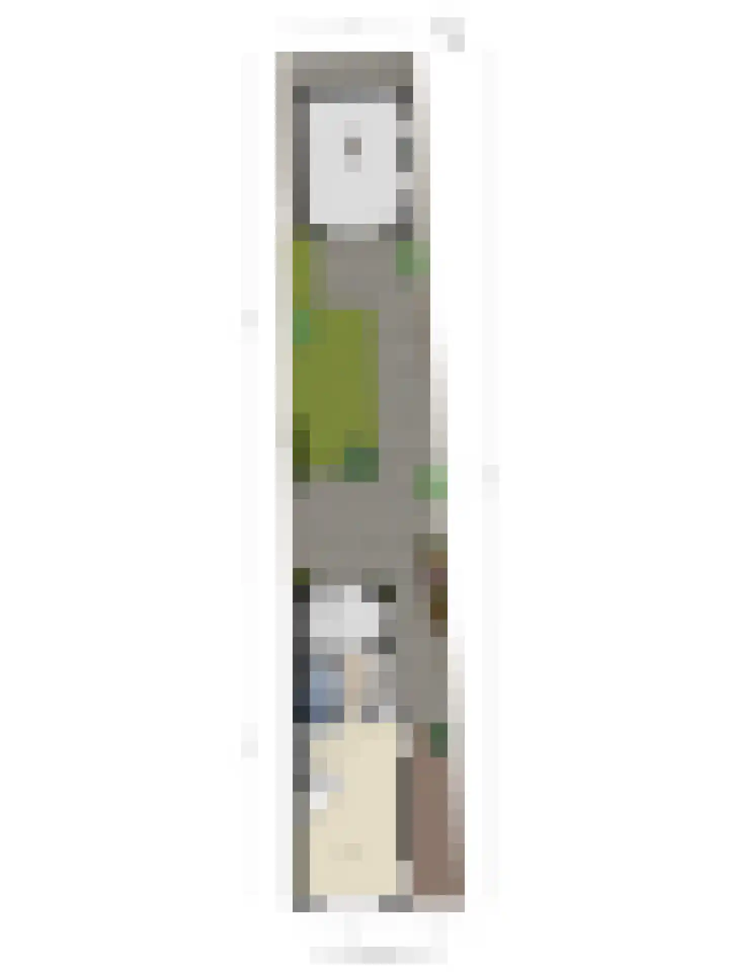 Westeinde 6 Schermerhorn thumbnail 45