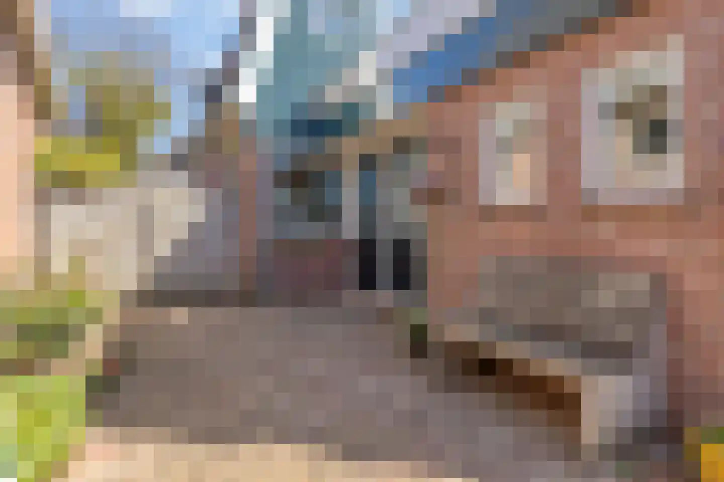 Westeinde 6 Schermerhorn thumbnail 9