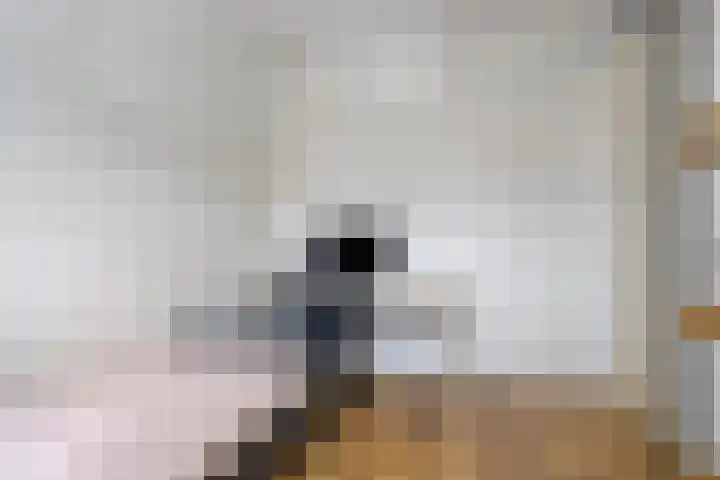 Westeinde 6 Scherpenzeel thumbnail 11