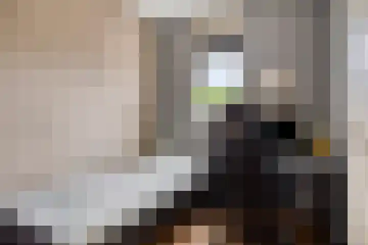 Westeinde 6 Scherpenzeel thumbnail 13