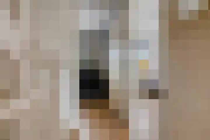 Westeinde 6 Scherpenzeel thumbnail 15