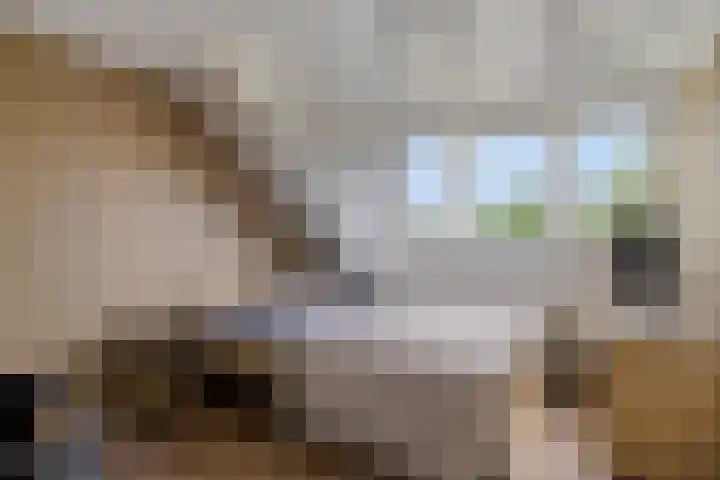 Westeinde 6 Scherpenzeel thumbnail 16