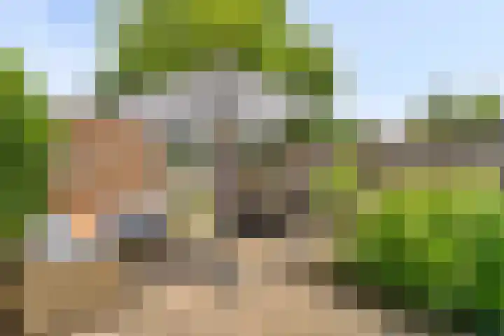 Westeinde 6 Scherpenzeel thumbnail 18