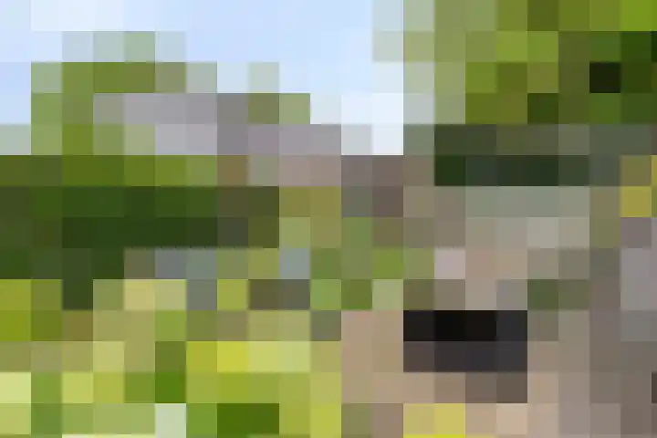 Westeinde 6 Scherpenzeel thumbnail 19