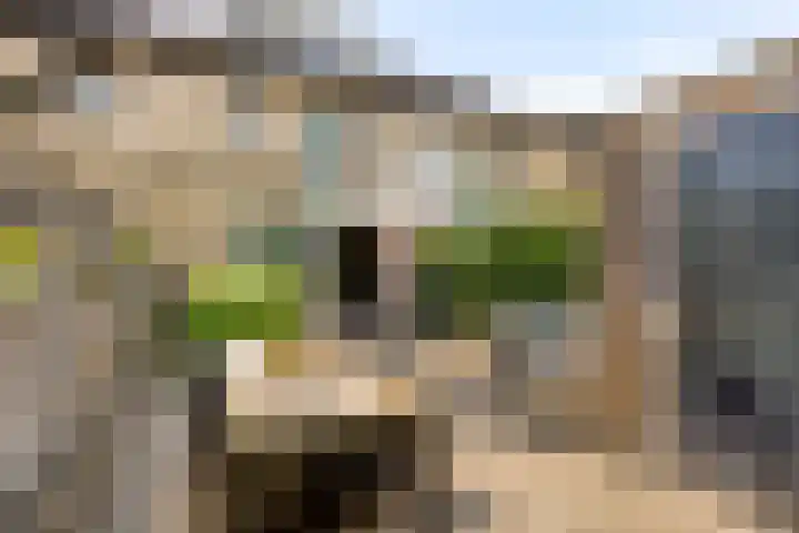 Westeinde 6 Scherpenzeel thumbnail 21