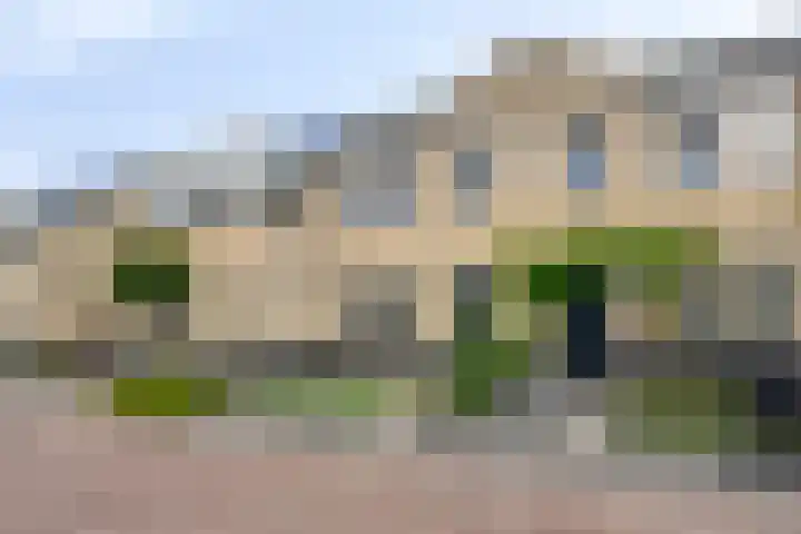 Westeinde 6 Scherpenzeel thumbnail 22