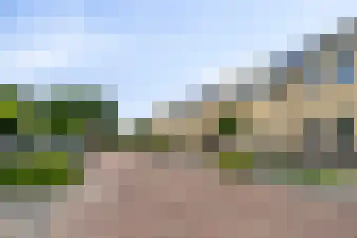Westeinde 6 Scherpenzeel thumbnail 23