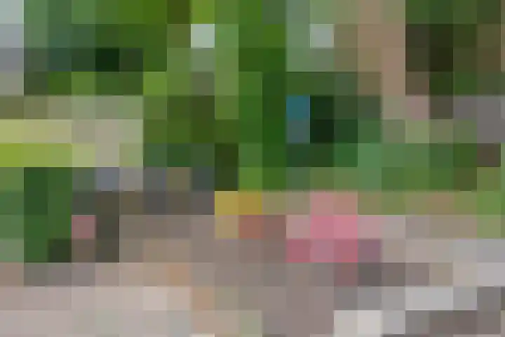Westeinde 6 Scherpenzeel thumbnail 25
