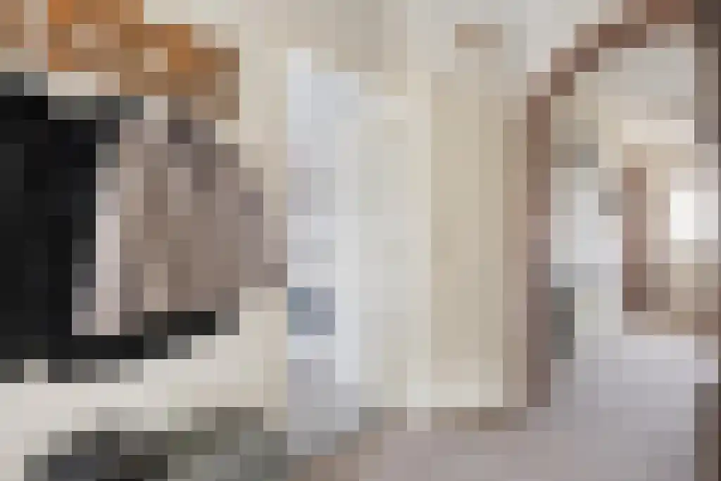 Westeinde 636 a Vriezenveen thumbnail 16