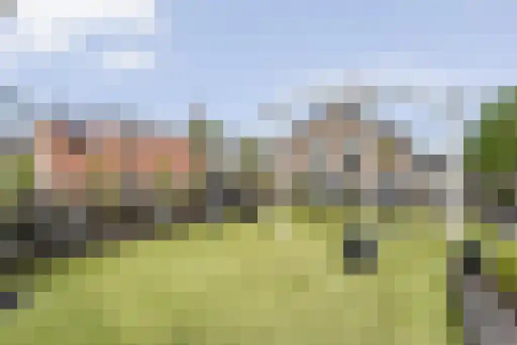 Westeinde 636 a Vriezenveen thumbnail 30