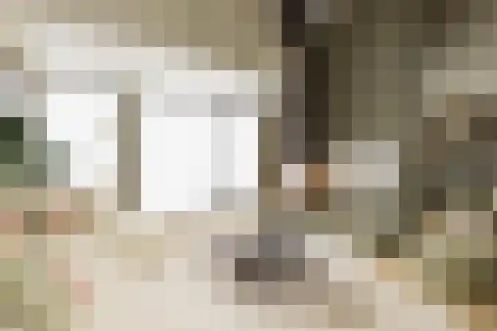 Westeinde 64 Oud-Alblas thumbnail 12