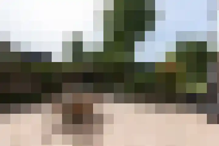 Westeinde 64 Oud-Alblas thumbnail 34