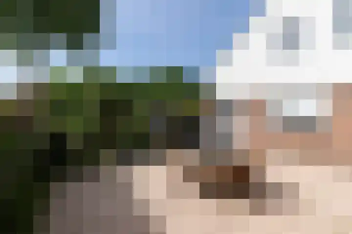 Westeinde 64 Oud-Alblas thumbnail 35