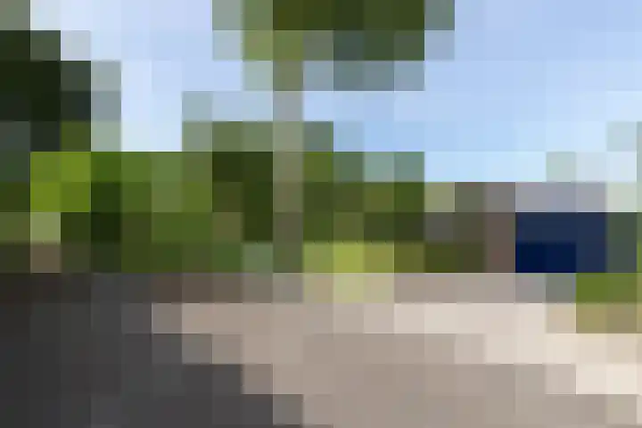 Westeinde 64 Oud-Alblas thumbnail 37