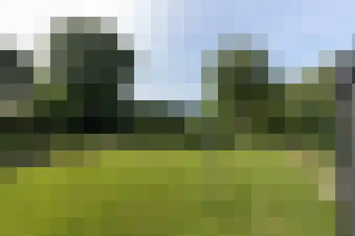 Westeinde 64 Oud-Alblas thumbnail 39