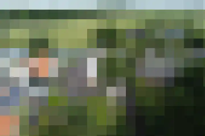 Westeinde 64 Oud-Alblas thumbnail 4