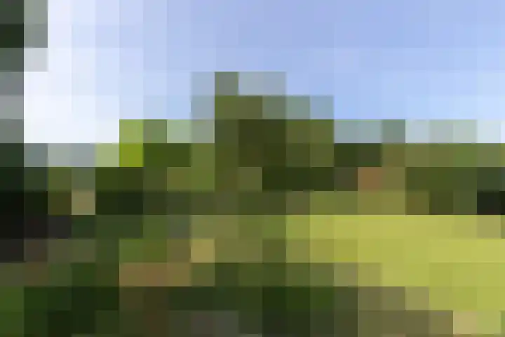 Westeinde 64 Oud-Alblas thumbnail 41