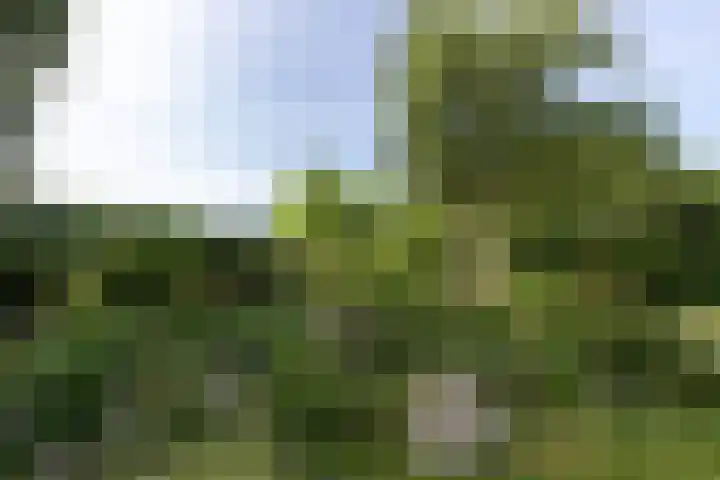 Westeinde 64 Oud-Alblas thumbnail 42