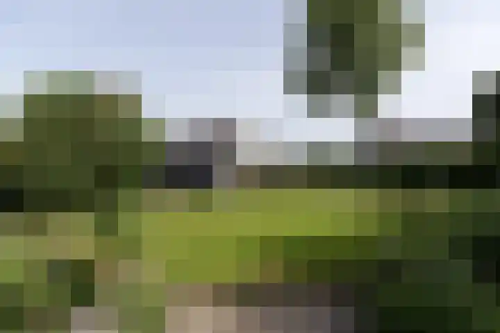 Westeinde 64 Oud-Alblas thumbnail 43