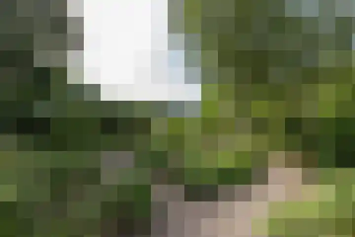 Westeinde 64 Oud-Alblas thumbnail 44
