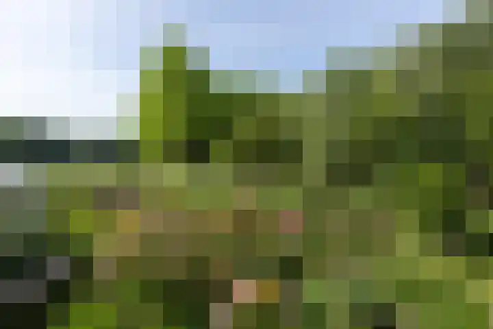 Westeinde 64 Oud-Alblas thumbnail 45