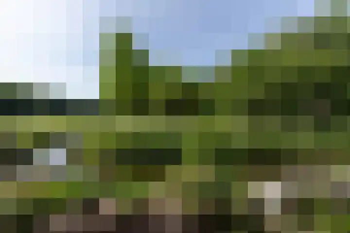 Westeinde 64 Oud-Alblas thumbnail 47