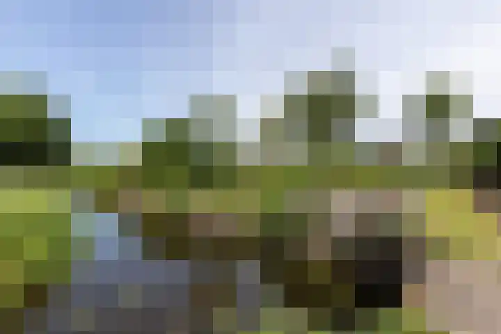 Westeinde 64 Oud-Alblas thumbnail 48