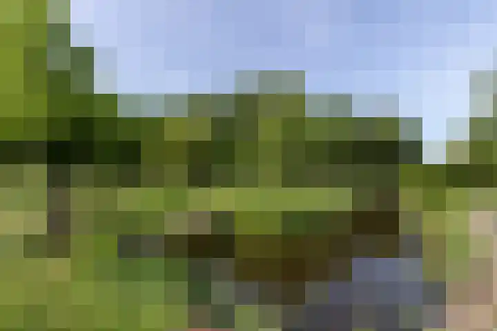 Westeinde 64 Oud-Alblas thumbnail 49