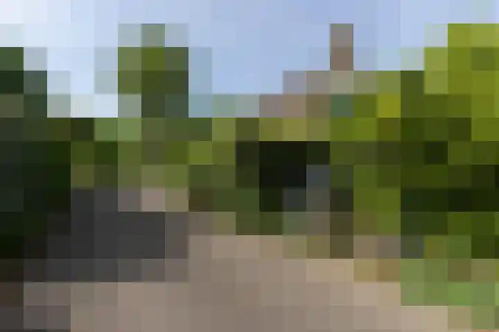 Westeinde 64 Oud-Alblas thumbnail 53